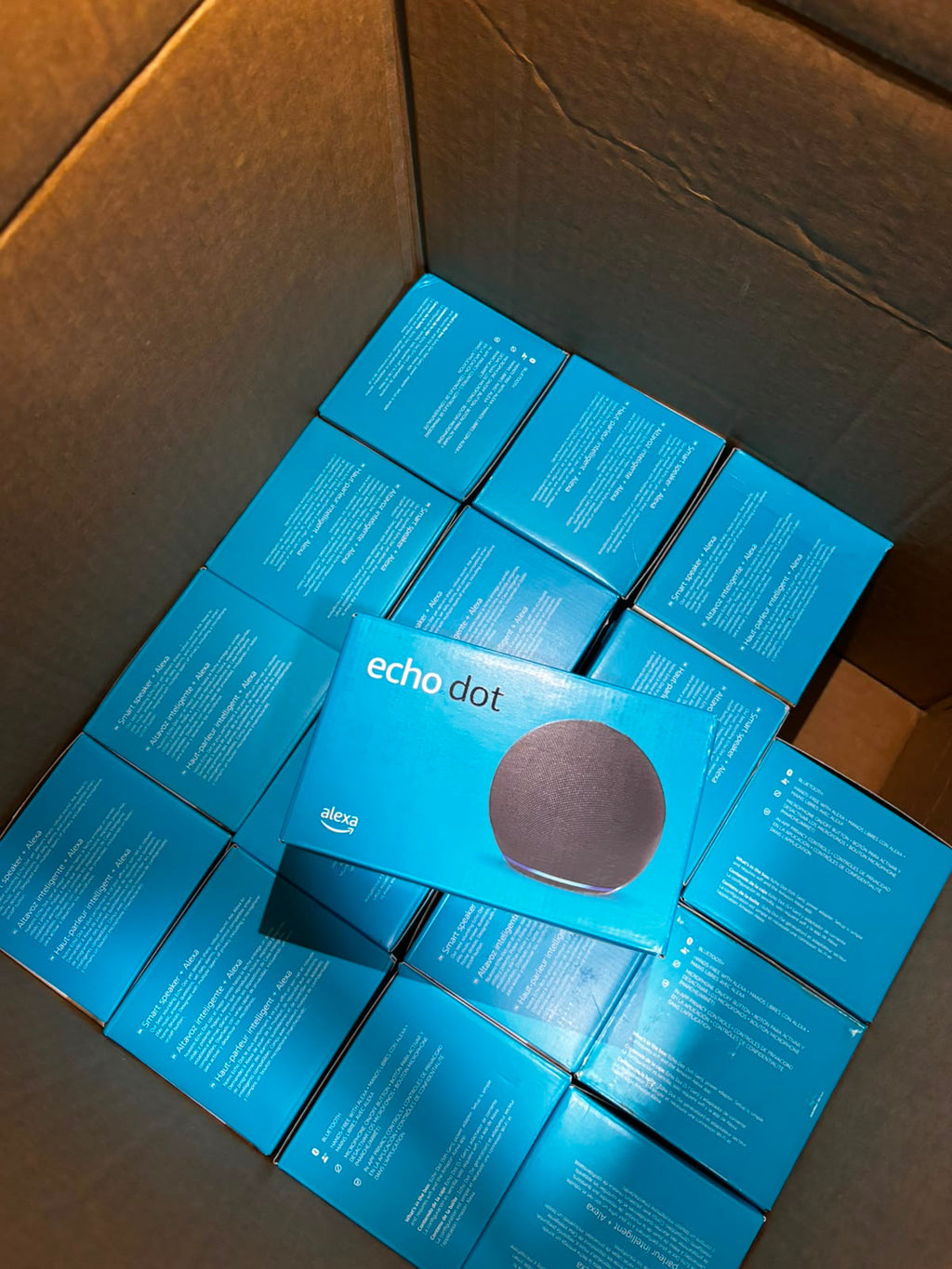 Alexa Echo Dot 5ta Generación